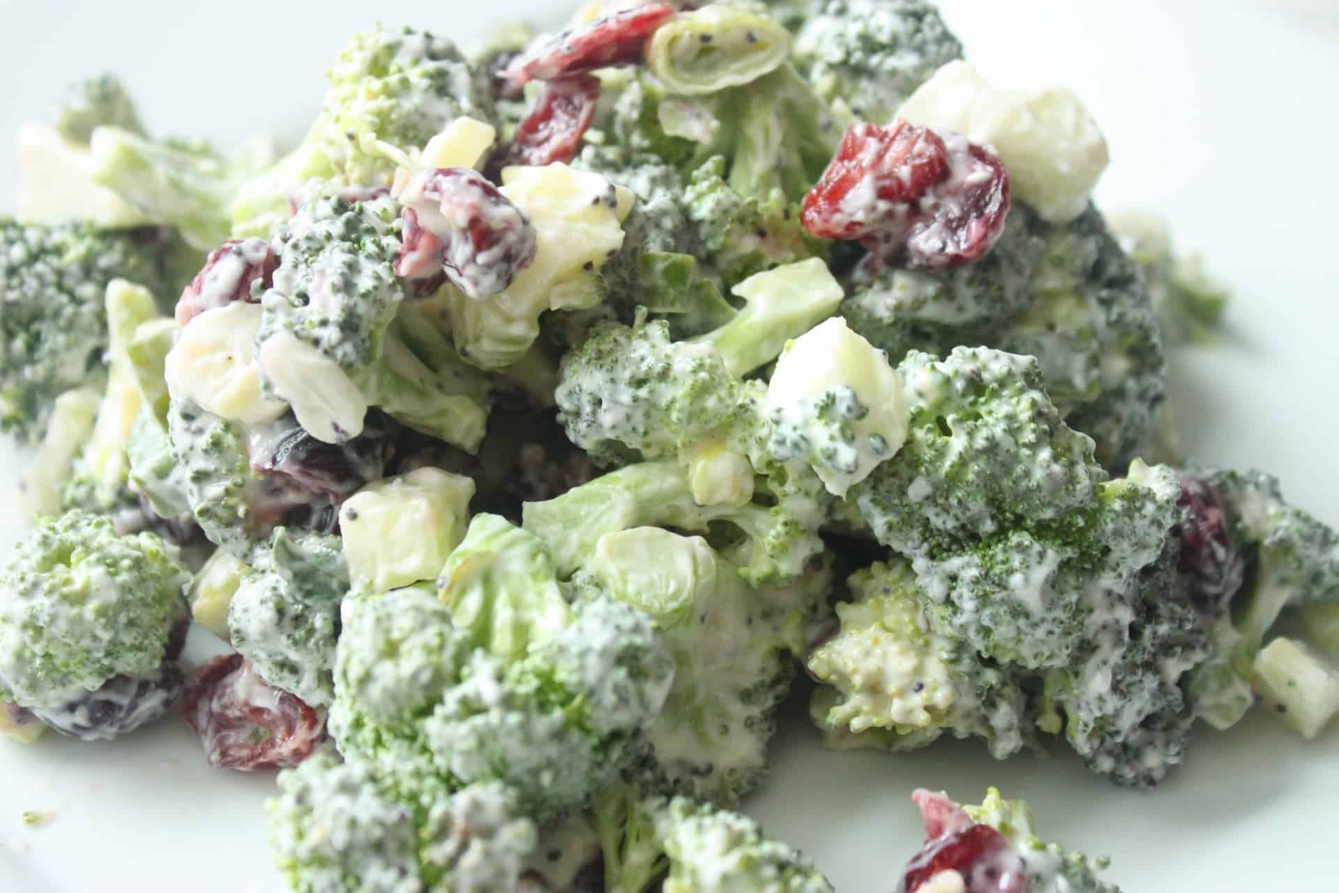 Cranberry, Apple, & Broccoli Salad on a White Plate