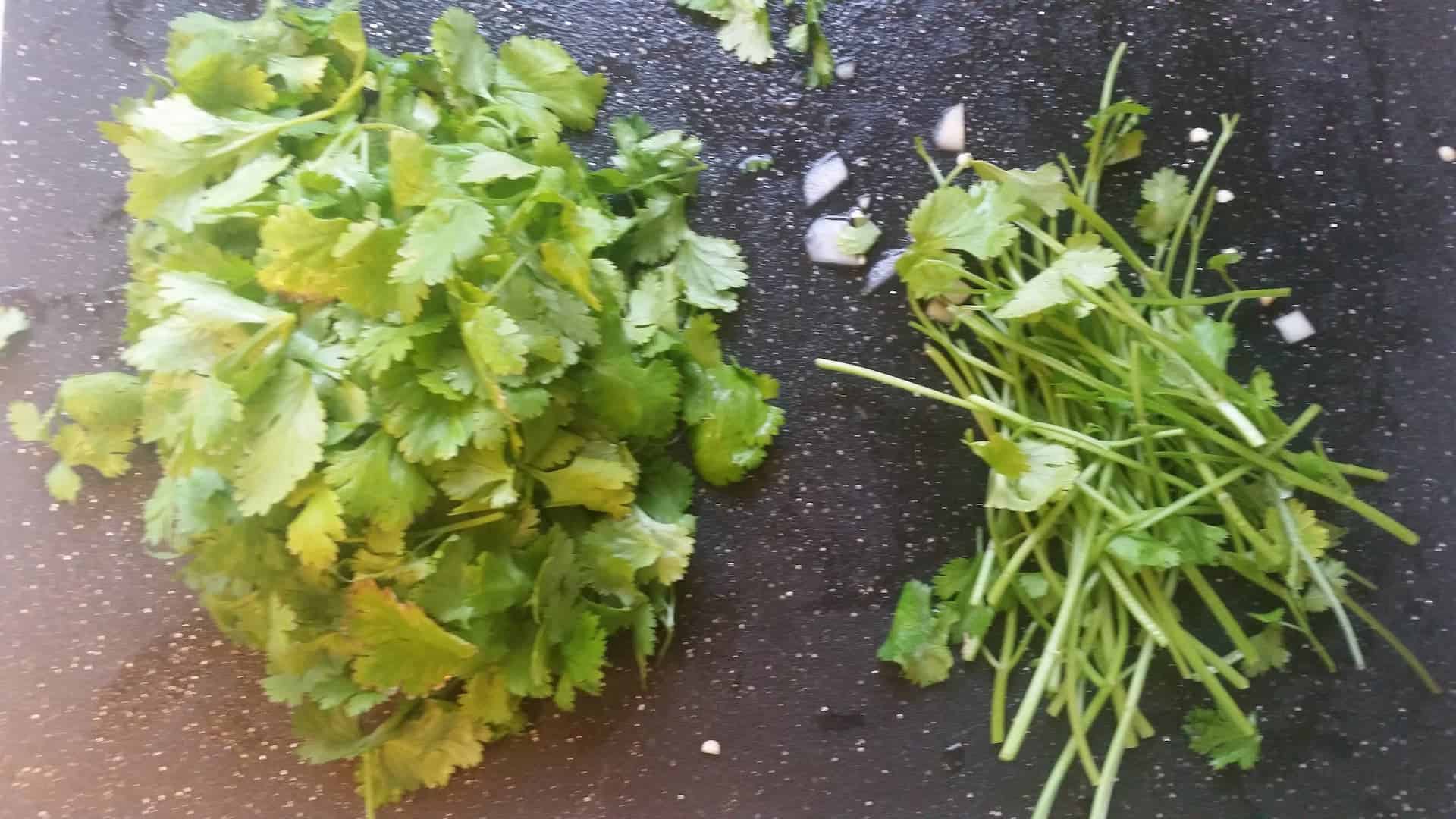 Chopped and De Stemmed Cilantro on a Cutting Board
