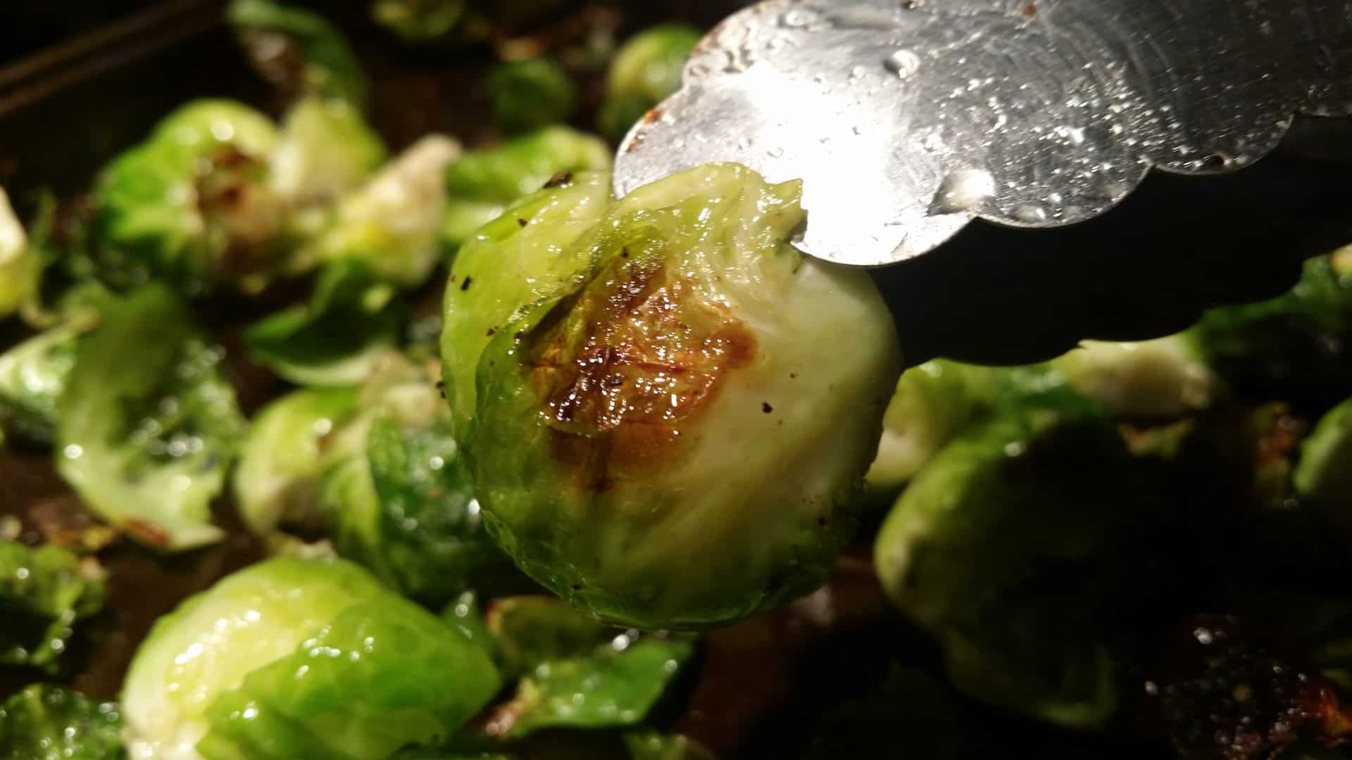 Close Up of Oven Roasted Brussel Sprout That is Held with Tongs