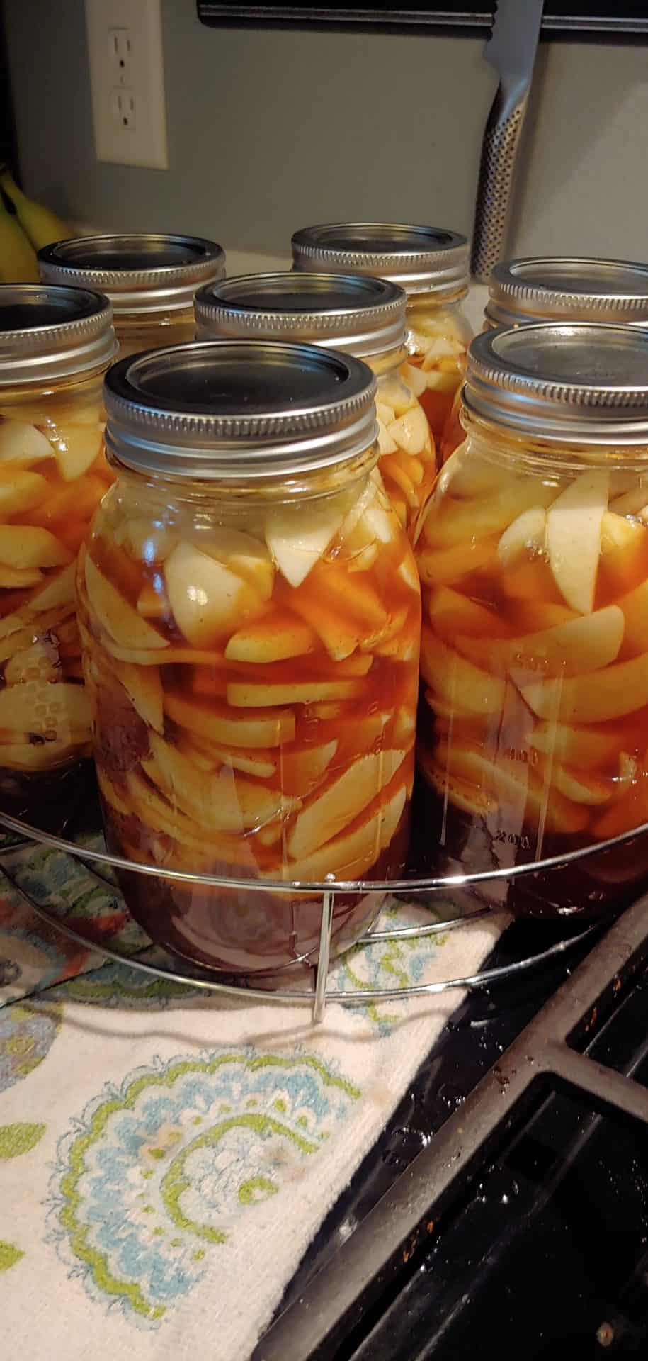 A full row of freshly filled and sealed mason jars with Homemade Canned Apple Pie Filling cooling on the counter after processing.
