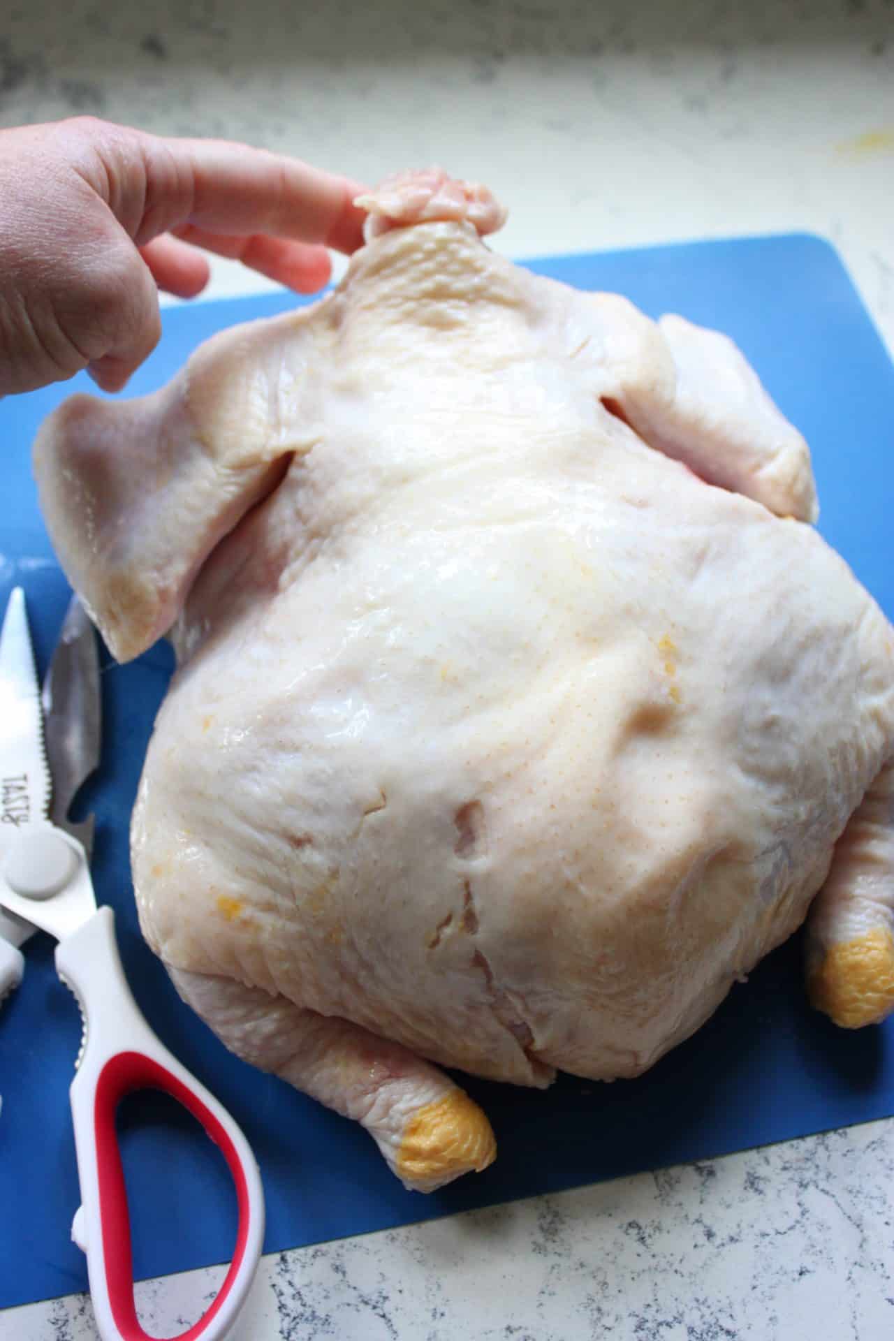 Raw whole chicken with backbone exposed, demonstrating the first step in how to cook spatchcock chicken by removing the spine.